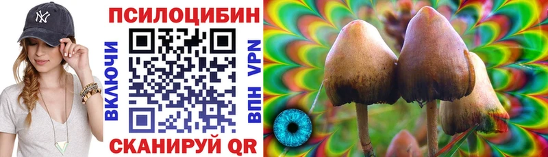 Галлюциногенные грибы Magic Shrooms Купить где Алексин